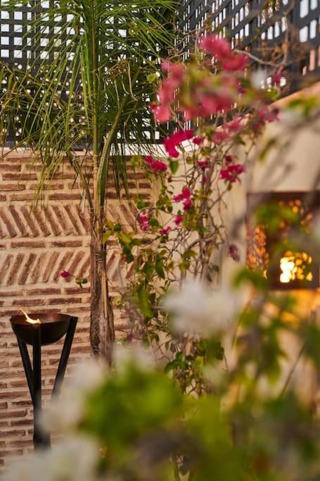 Riad Miloud En Exclusivite 10 P Au Coeur De La Medina Marrakesh Buitenkant foto